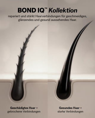 🌙 BOND IQ™ Night & Day Recovery Serum