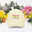 Pastel Lemon